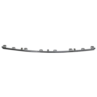 BUMPER MOULDING FR CHROME