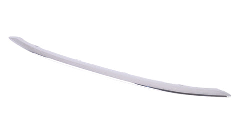 BUMPER FR MOULDING CHROME
