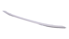 BUMPER FR MOULDING CHROME