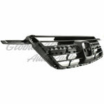 GRILLE W/O MOULDING — photo 3