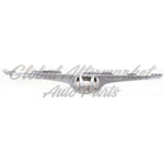 GRILLE CHROME — photo 2