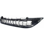 GRILLE LOWER GRAY — photo 5