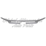 GRILLE MOULDING SMOKED BLACK — photo 2