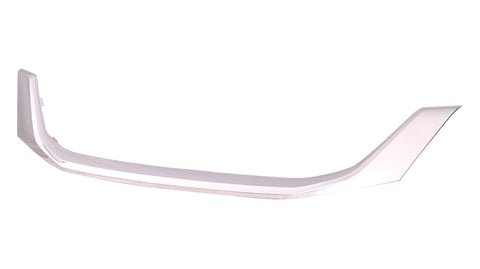 GRILLE MOULDING CHROME