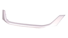 GRILLE MOULDING CHROME