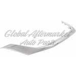 GRILLE LOWER MOULDING CHROME/BLACK — photo 3