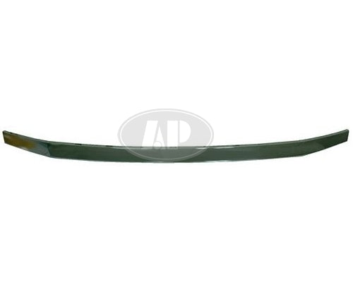GRILLE MOULDING UPPER CHROME