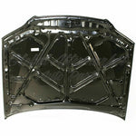 HOOD CAPA — photo 3