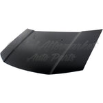 HOOD ALUMINUM CAPA — photo 2