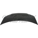 HOOD ALUMINUM CAPA — photo 4