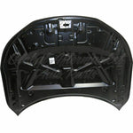 HOOD 4 CYL ALUMINUM CAPA — photo 5