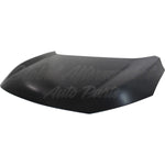 HOOD STEEL MODEL — photo 3