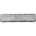 GRILLE LOWER CENTER — photo 4