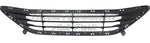 GRILLE LOWER W/O CHROME INSERT — photo 5