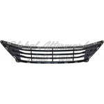 GRILLE LOWER BLACK W/SMOKE CHROME BAR TRIM USA BUILT MODEL — photo 2