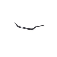 BUMPER MOLDING FR PTM 1-PIECE TYPE FOR SE/ESSENTIAL MODELS