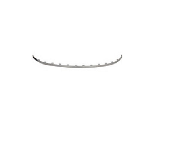 BUMPER MOLDING FR CENTER CHROME