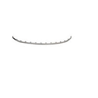 BUMPER MOLDING FR CENTER CHROME