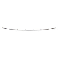 BUMPER MOULDING RR CHROME SE/ PREFERRED MODELS