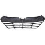 GRILLE BLACK GLS FOR USE W/O CHROME MOULDING — photo 5