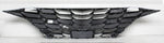 GRILLE FR SMOKED CHROME MOULDING W/ADAPTIVE US BUILT — photo 2