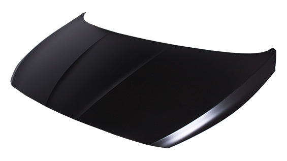 HOOD STEEL CAPA