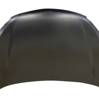 HOOD STEEL CAPA