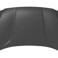 HOOD STEEL CAPA