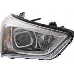 HEAD LAMP RH HALOGEN SPORTS BLACK BEZEL HQ — photo 4