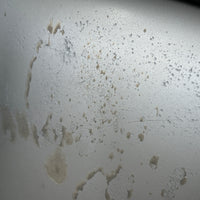 JDM Lexus IS300 Toyota Altezza 2001-2005 TRD Front End Conversion Bumper Headlights Fenders Hood