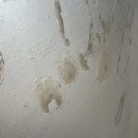 JDM Lexus IS300 Toyota Altezza 2001-2005 TRD Front End Conversion Bumper Headlights Fenders Hood