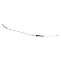 BUMPER MOLDING FR BRIGHT CHROME