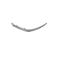 BUMPER MOLDING FR LH (BELOW HEAD LAMP) PTD GRAY