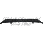 BUMPER MOULDING RR BLACK (LOWER INSERT PLATE) — photo 5