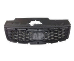 GRILLE (W/O CHROME MLDG) — photo 1