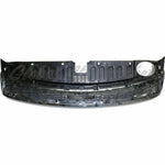 GRILLE PAINTED SILVER W/CHROME MLDG SX MODEL — photo 4
