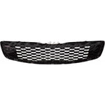 GRILLE PTD BLACK W/SMOKED FRAME — photo 2