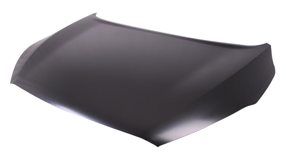 HOOD STEEL CAPA