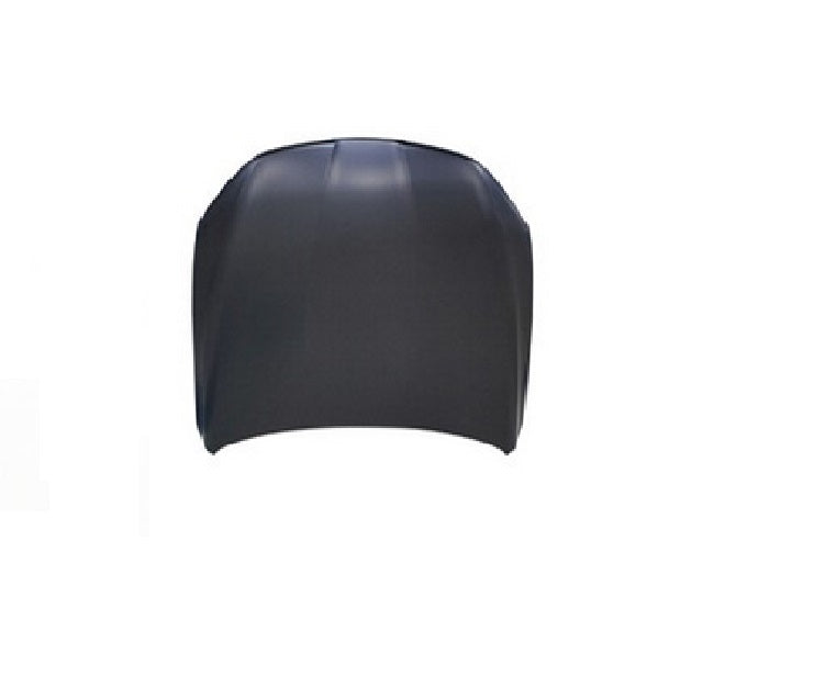 HOOD STEEL CAPA