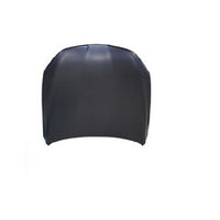 HOOD STEEL CAPA