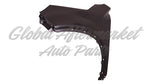 FENDER FR LH W/WHEEL MOULDING CAPA — photo 1