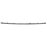 BUMPER MOLDING RR CENTER CHROME