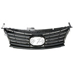 GRILLE PAINTED FINISH W/O SURROUND MOULDING W/O F-SPORT SDN — photo 1
