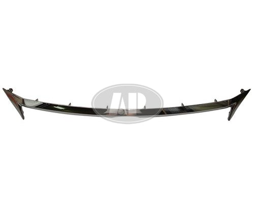 GRILLE MOULDING CHROME