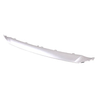 GRILLE MOLDING LOWER PTD SILVER