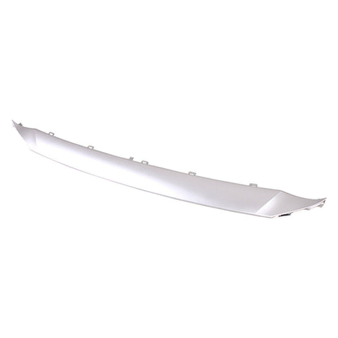 GRILLE MOLDING LOWER PTD SILVER