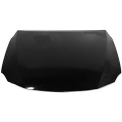 HOOD ALUMINUM CAPA