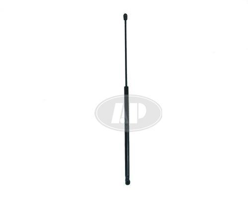 HOOD STRUT RH