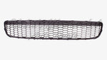 GRILLE LOWER — photo 1