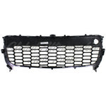 GRILLE LOWER — photo 2